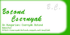 botond csernyak business card