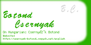 botond csernyak business card